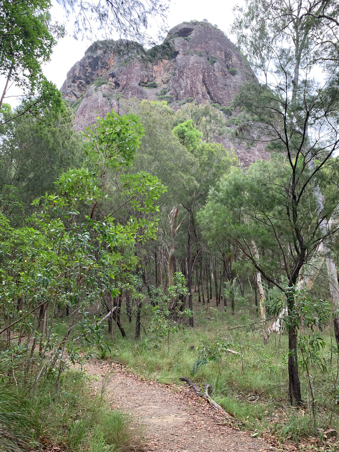 Scaling the Beast: The Thrilling Climb to the Summit of Mount Tibrogargan