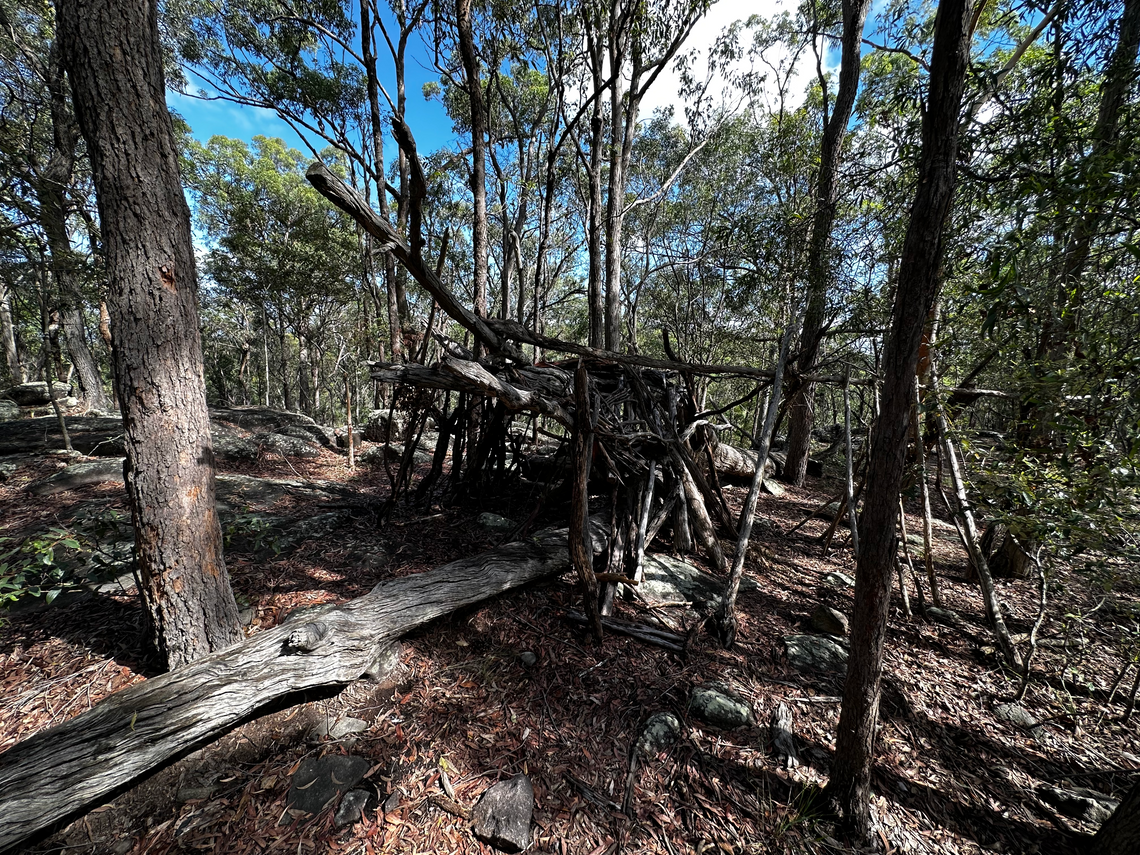 Hike the Stunning Nathan Ridge Track at Toohey Forest Park: A Perfect Outdoor Adventure for Nature Enthusiasts and Fitness Buffs