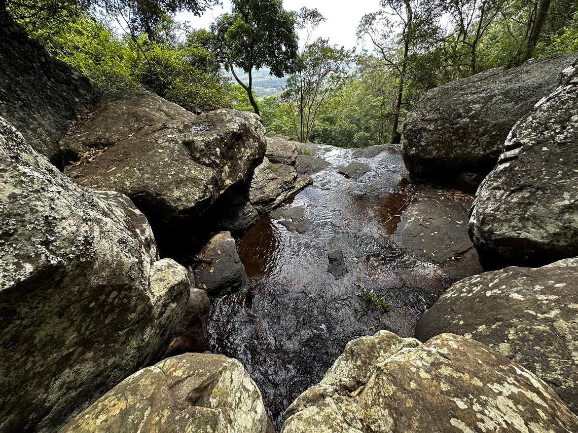 Nature's Splendor: Hiking the Knoll Walking Track to Cameron Falls