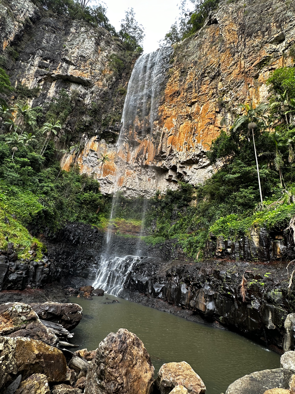 Purling Brook Falls: A Natural Wonder in the Heart of the Rainforest