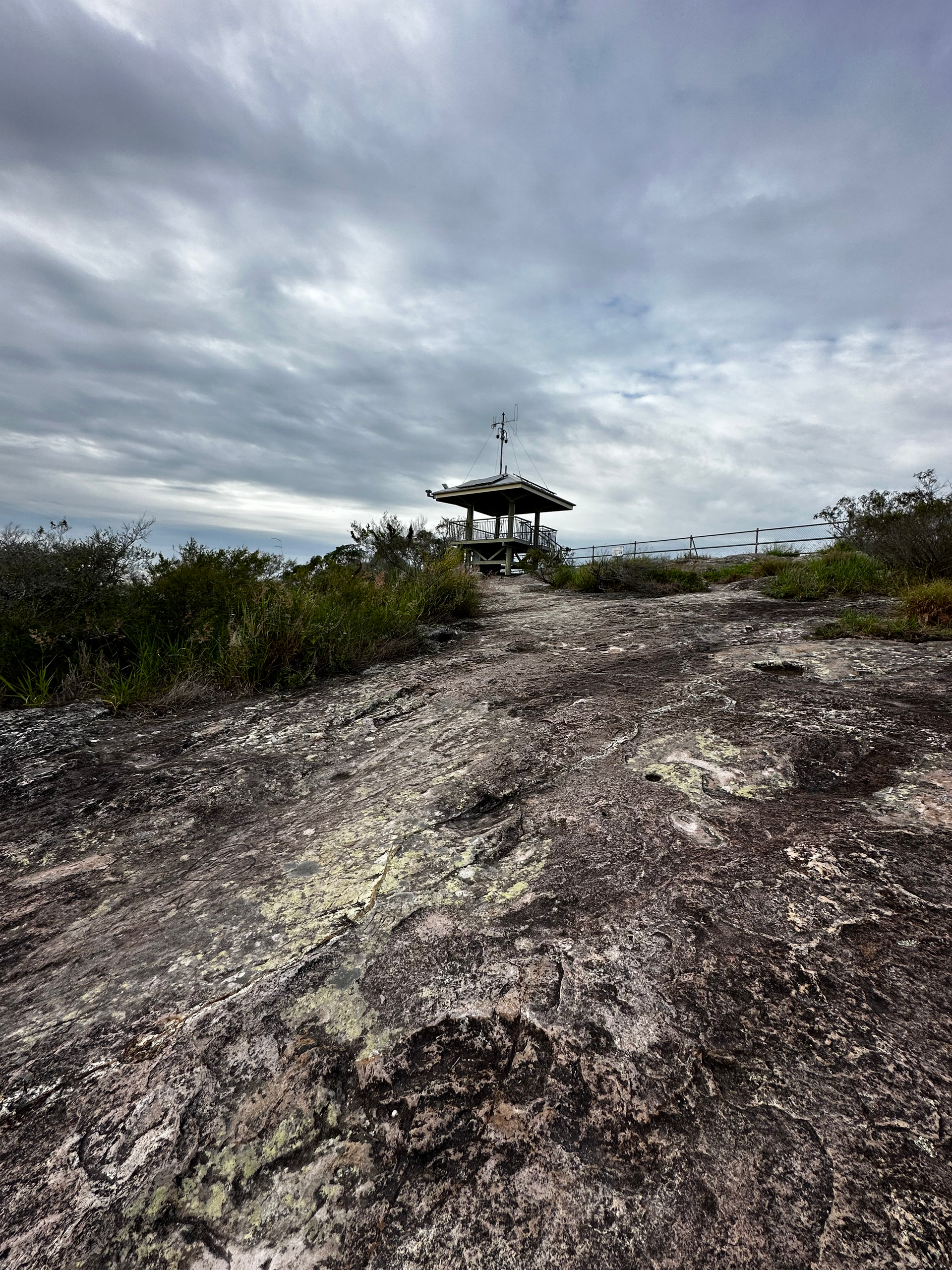 Ultimate Outdoor Adventure at Noosa's Mount Tinbeerwah Walking Track: Hiking, Panoramic Views & Nature Exploring!