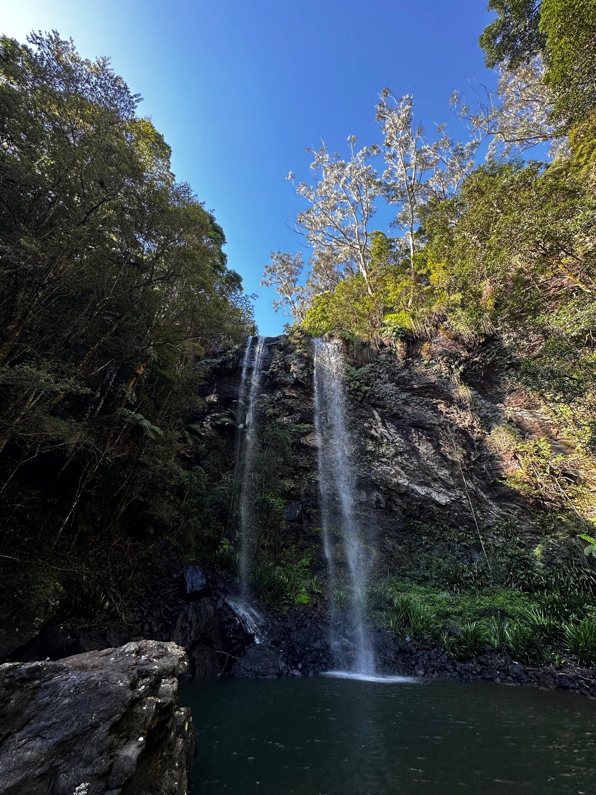 Twin Falls Circuit: A Triple Delight of Waterfalls, Rainforest, and Scenic Views - The Ultimate Adventure Experience!