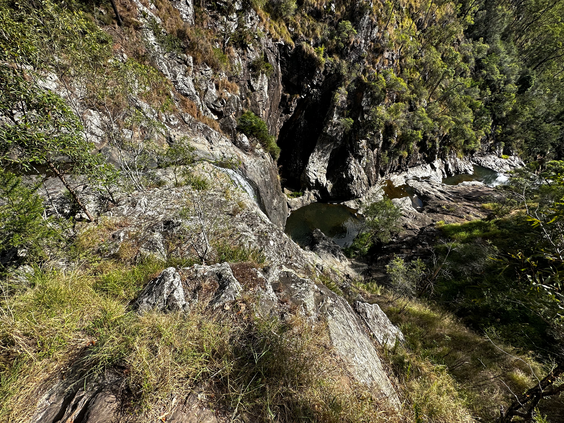 EPIC Cedar Creek Falls Hike and Swim Adventure | Must-Do Outdoor Activity in Queensland