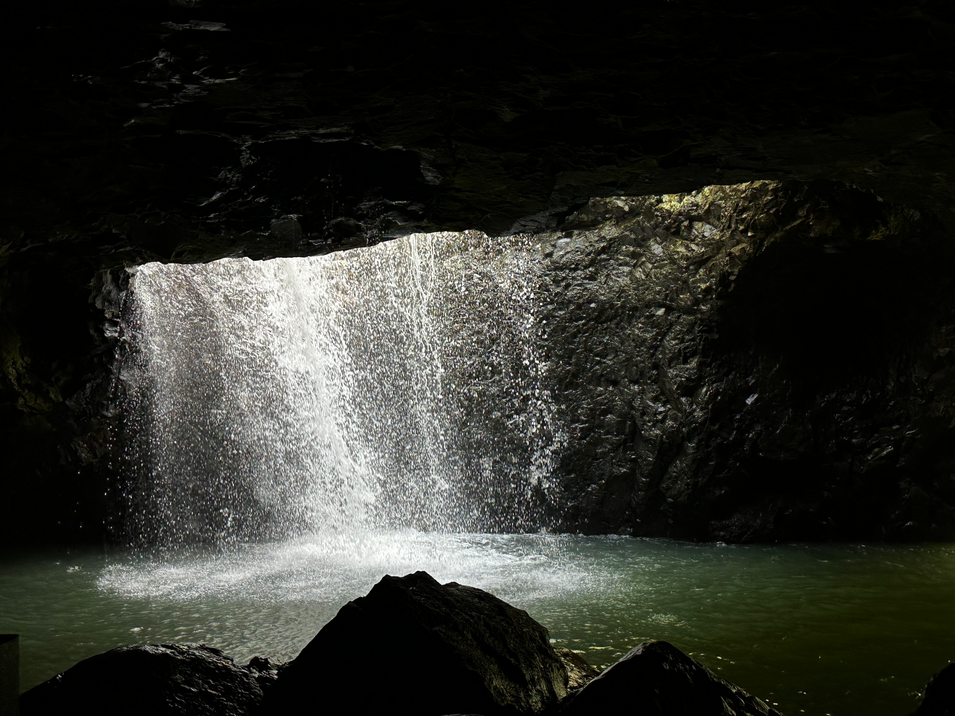 The Enchanting Natural Bridge: A Must-See Waterfall and Rainforest Experience