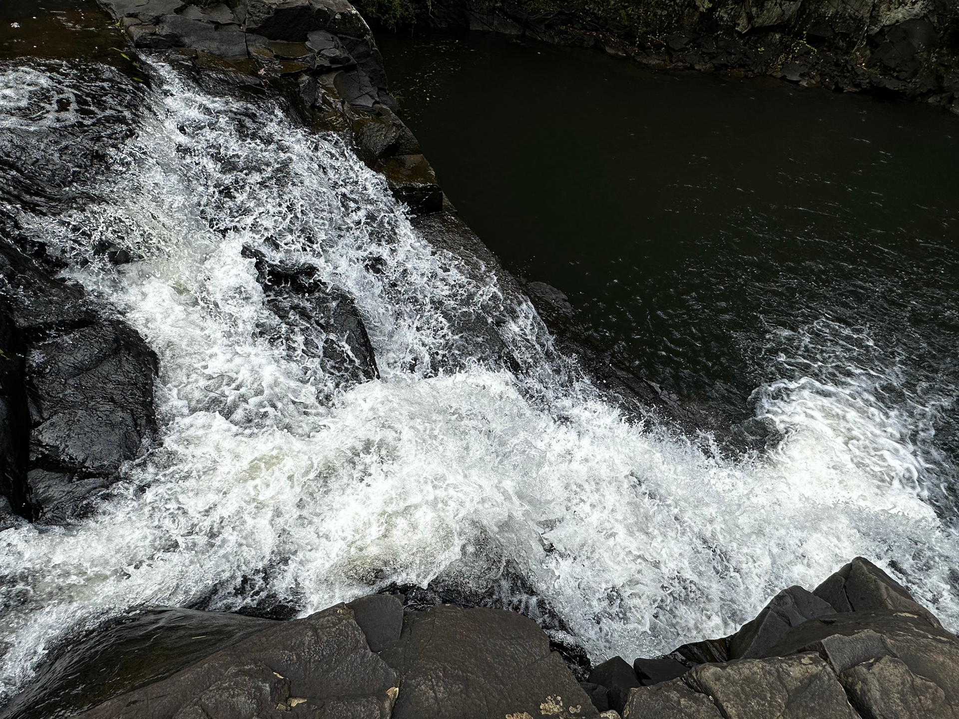 Gardners Falls: A Hidden Gem in the Sunshine Coast Hinterland for a Refreshing Dip