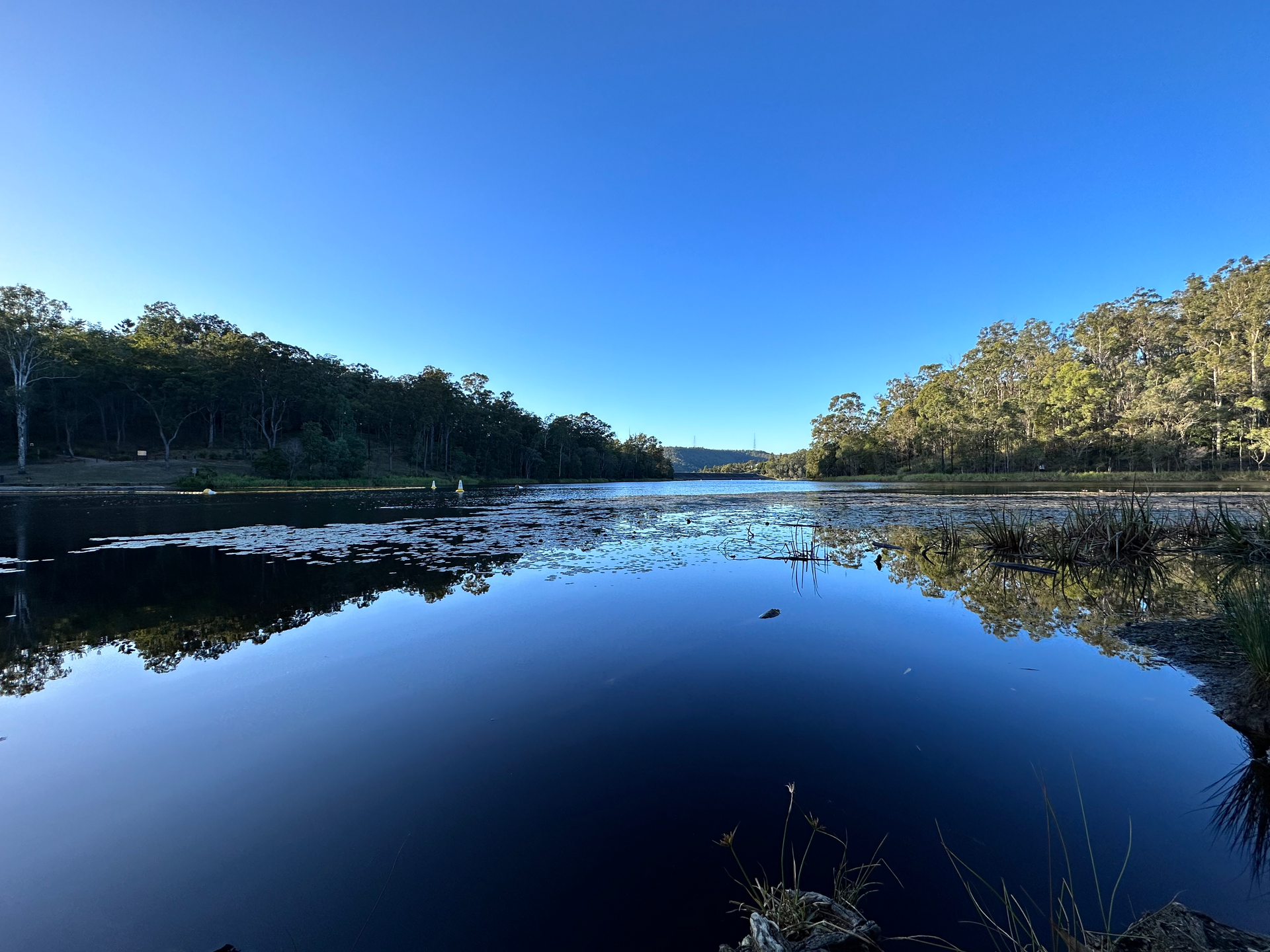 Exploring the Natural Wonders: Unveiling the Beauty of Walkabout Creek Discovery Centre