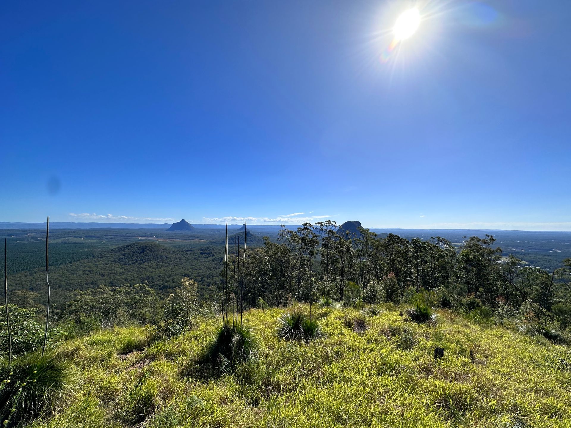 Elevate Your Cardio: Conquering Mount Beerburrum's Summit for an Outdoor Adventure Workout